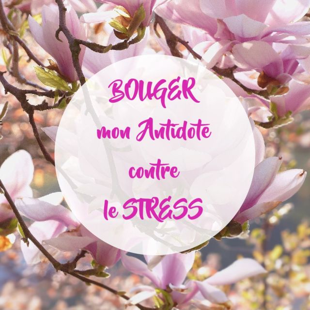 bouger