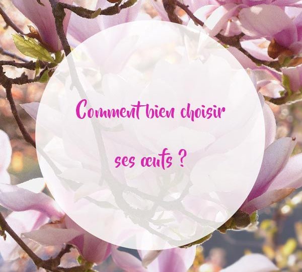 Comment-bien-choisir-ses-œufs