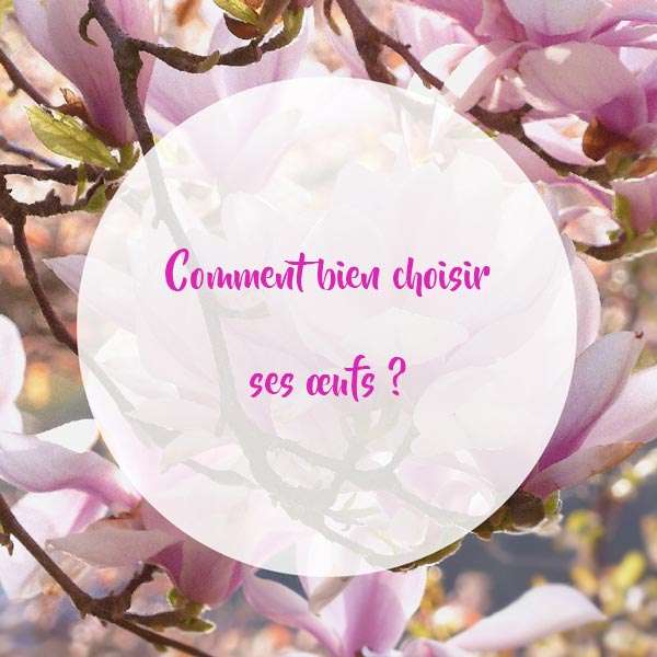 Comment-bien-choisir-ses-œufs