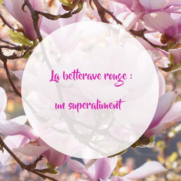 La-betterave-rouge-un-superaliment