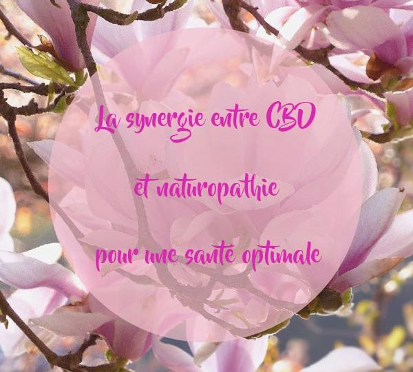 La-synergie-entre-CBD-et-naturopathie-pour-une-santé-optimale