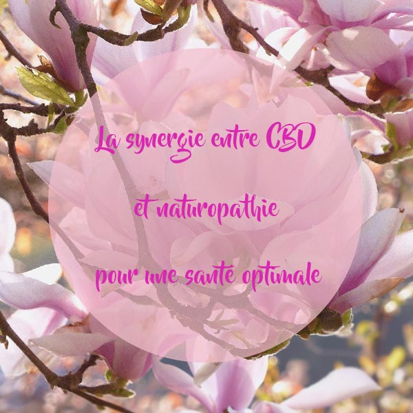 La-synergie-entre-CBD-et-naturopathie-pour-une-santé-optimale