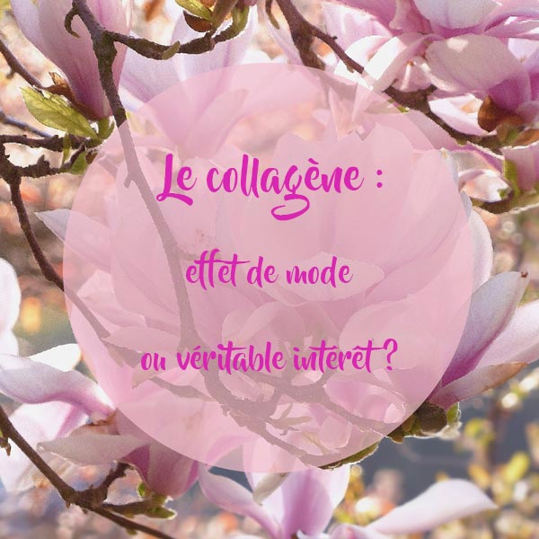 Le-collagène-effet-de-mode-ou-véritable-intérêt