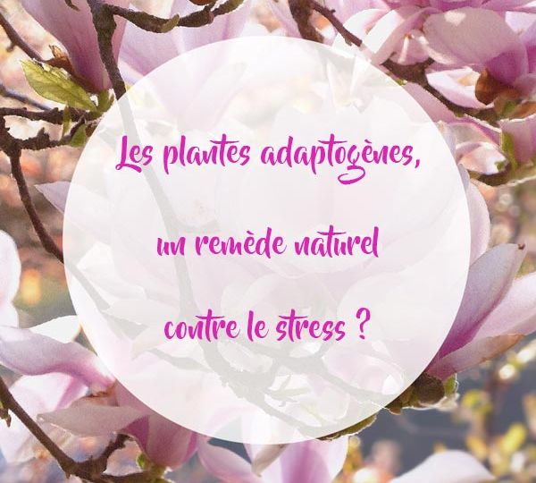 Les-plantes-adaptogènes-un-remède-naturel-contre-le-stress