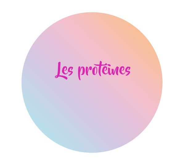 Les-protéines
