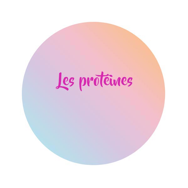 Les-protéines