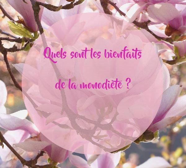 Quels-sont-les-bienfaits-de-la-monodiète
