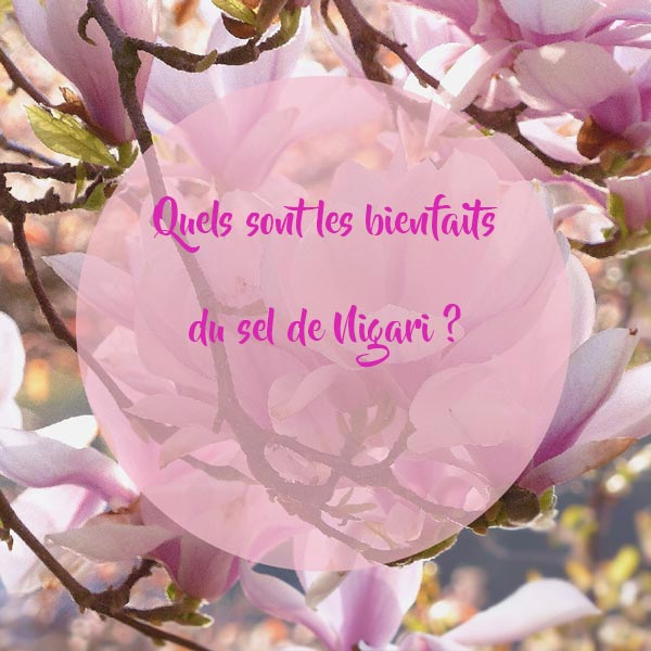 Quels-sont-les-bienfaits-du-sel-de-Nigari